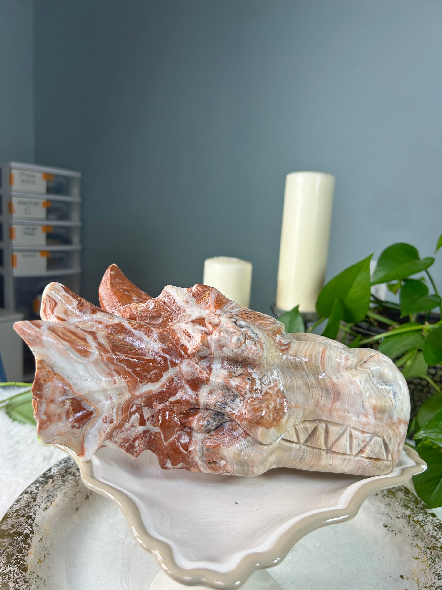 X-large amber calcite dragon head - 8.605 pounds (9.5in x 6.5in x 4in)