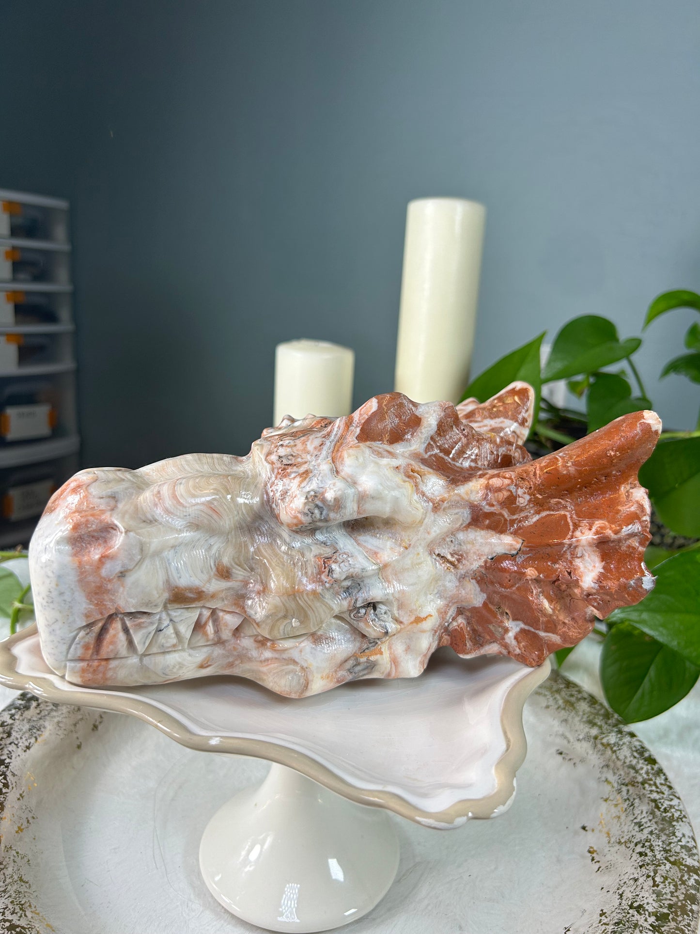X-large amber calcite dragon head - 8.605 pounds (9.5in x 6.5in x 4in)