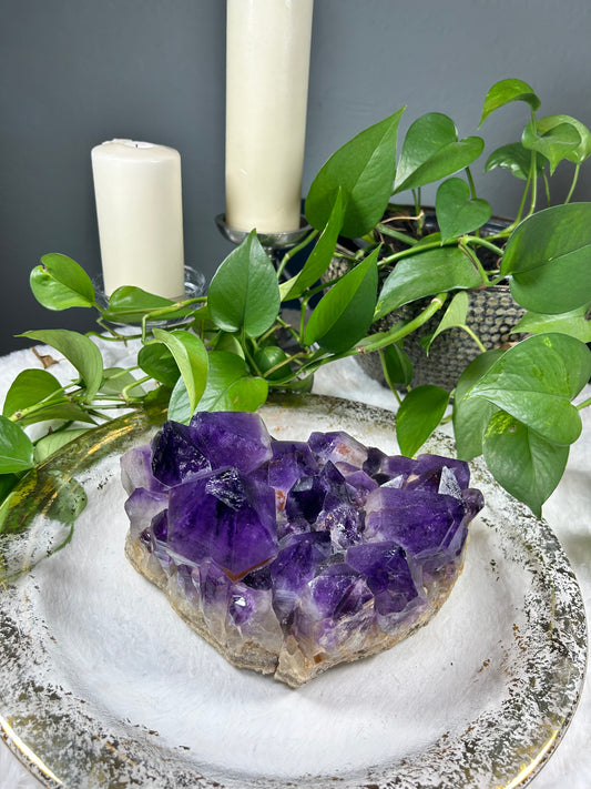 X-Large Teeth Wand Amethyst Raw/Geode Cluster- 9.82lbs pounds (9in x5 inches)