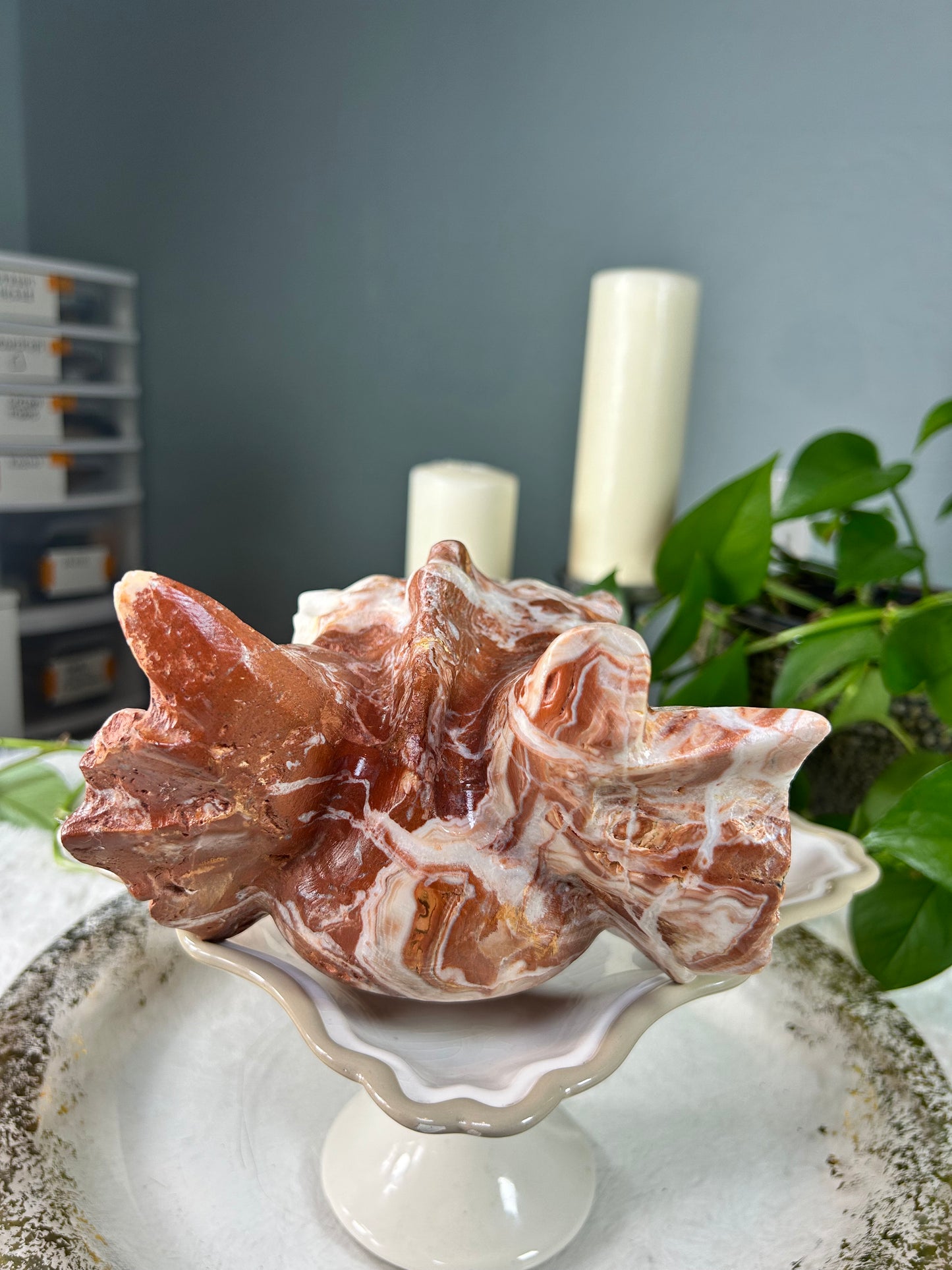 X-large amber calcite dragon head - 8.605 pounds (9.5in x 6.5in x 4in)