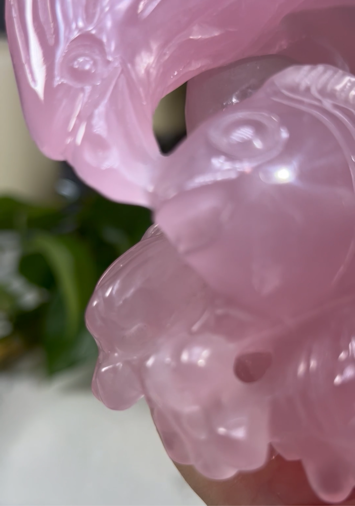 Large High quality RARE star rose quartz eagle eating fish out of water carving statue - 2.4 pounds (8in x 5in x 3in)